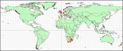 Global review of quantitative studies of primary moult of birds using the Underhill-Zucchini moult model